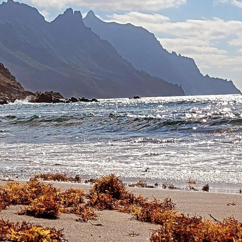 Picasso Paraiso Playa Surf Trail New Santa Cruz de Tenerife Exterior foto